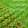 Is purchasing organic vegetables blowing your grocery budget? Find out the 9 veggies that could save you tons of money!