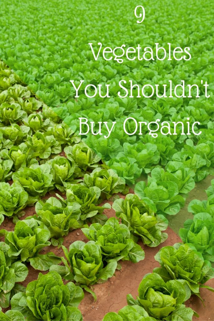 Is purchasing organic vegetables blowing your grocery budget? Find out the 9 veggies that could save you tons of money!