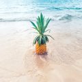 Pineapple in the shallow ocean water at the beach. Essential oils that smell like the beach