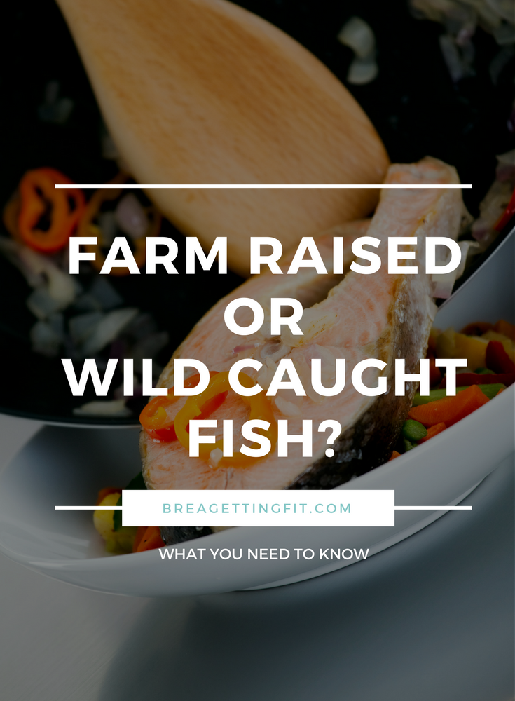 Farm Raised Fish vs Wild Caught