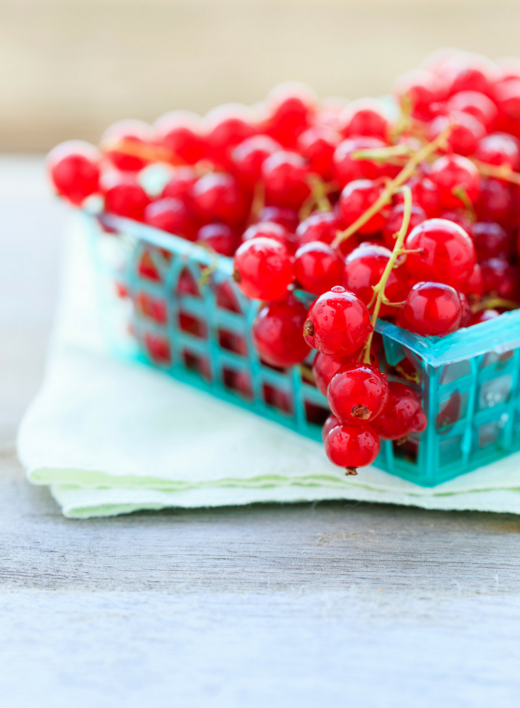 How to Improve Gut Health