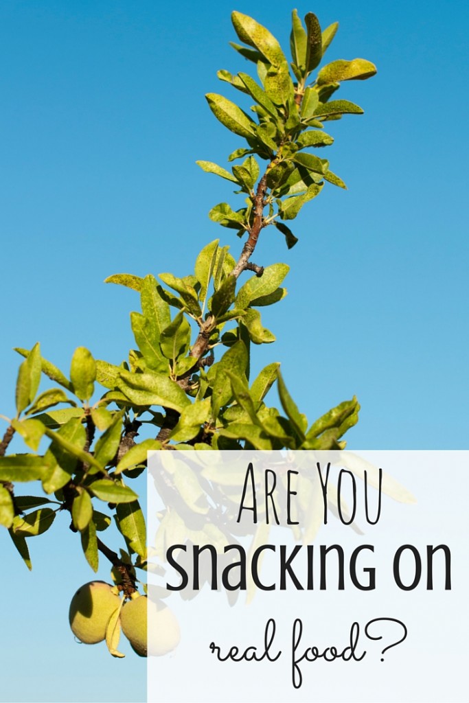 What is REAL FOOD-