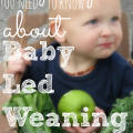 Is your baby ready to start solids? If so, consider baby led weaning. It's safe, fun, and your baby gets to experience real food right away!