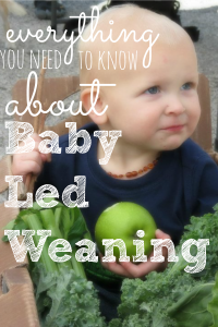 Is your baby ready to start solids? If so, consider baby led weaning. It's safe, fun, and your baby gets to experience real food right away!
