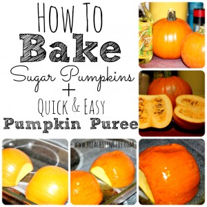 bake a pumpkin