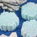 essential oil shower steamers