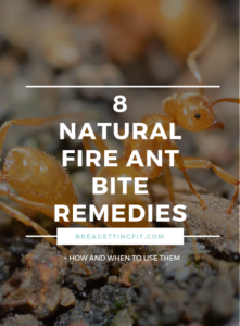 Natural fire ant bite remedies