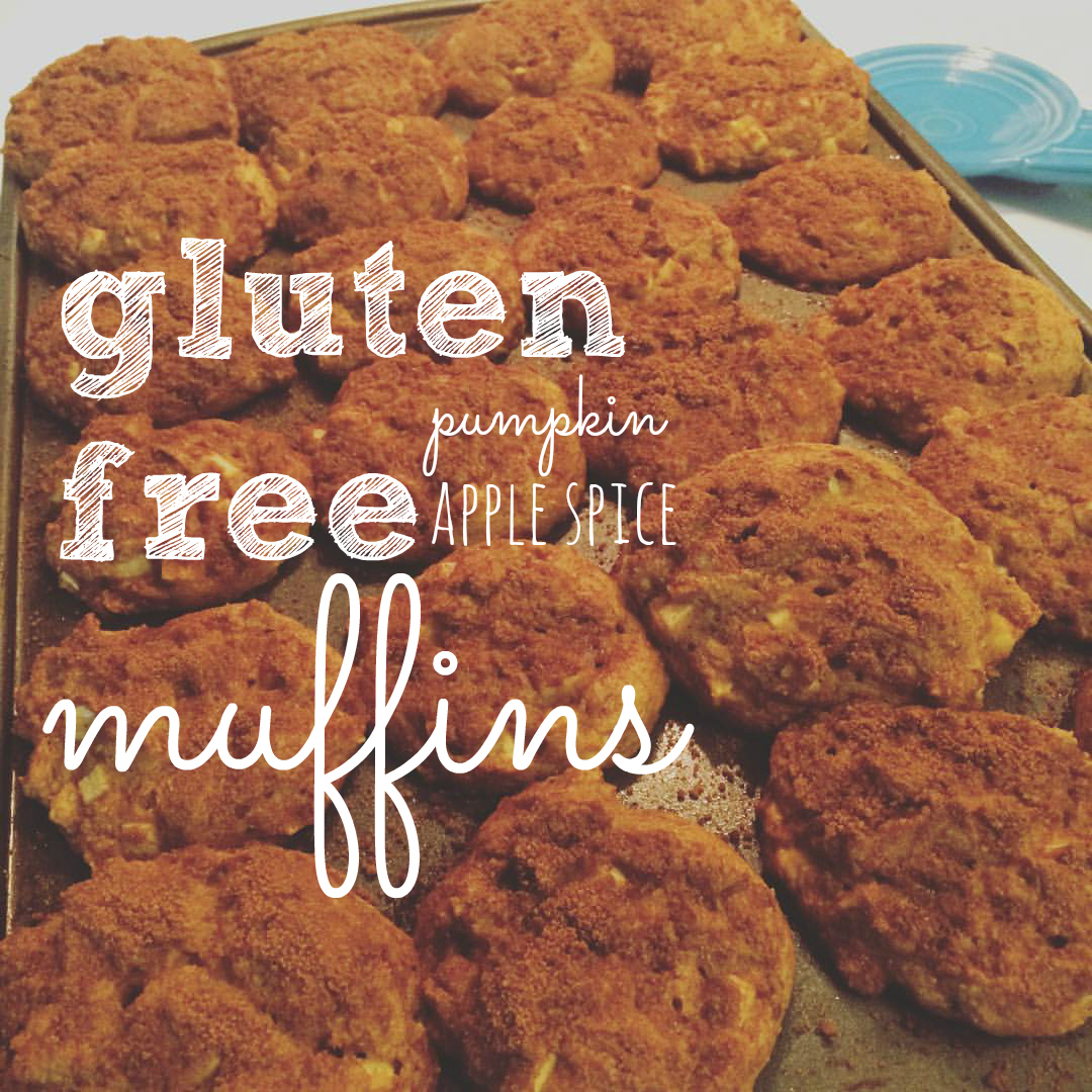 Gluten free doesn't have to mean cardboard, people. These muffins are absolutely delicious and won't blow your diet.