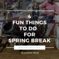 Fun Things To Do Over Spring Break in Houston, Texas